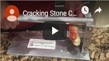 How to Crack a Stone Crab Claw Video